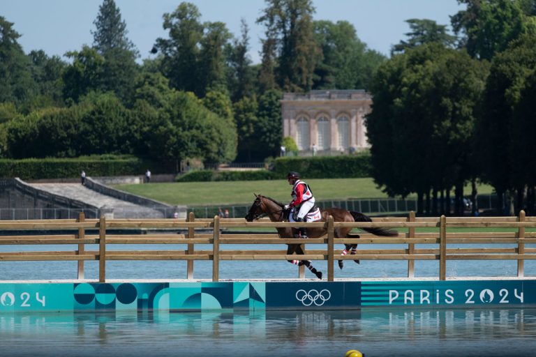 découvrez comment le château de versailles s'est transformé en un prestigieux terrain de compétition équestre, alliant histoire et passion du cheval.